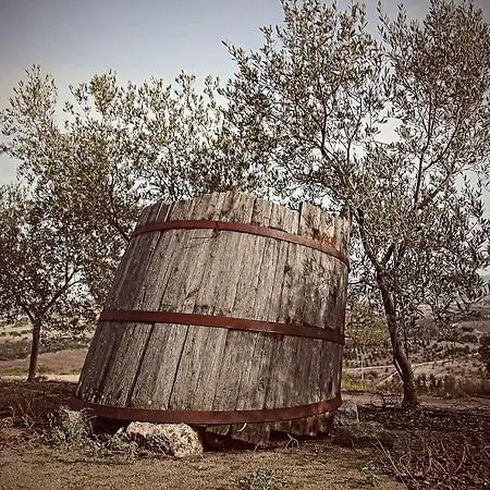 Tenuta Lochiri * Oschiri